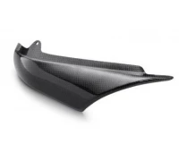 Carbon heat protection left