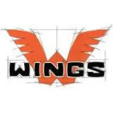 Глушители WINGS